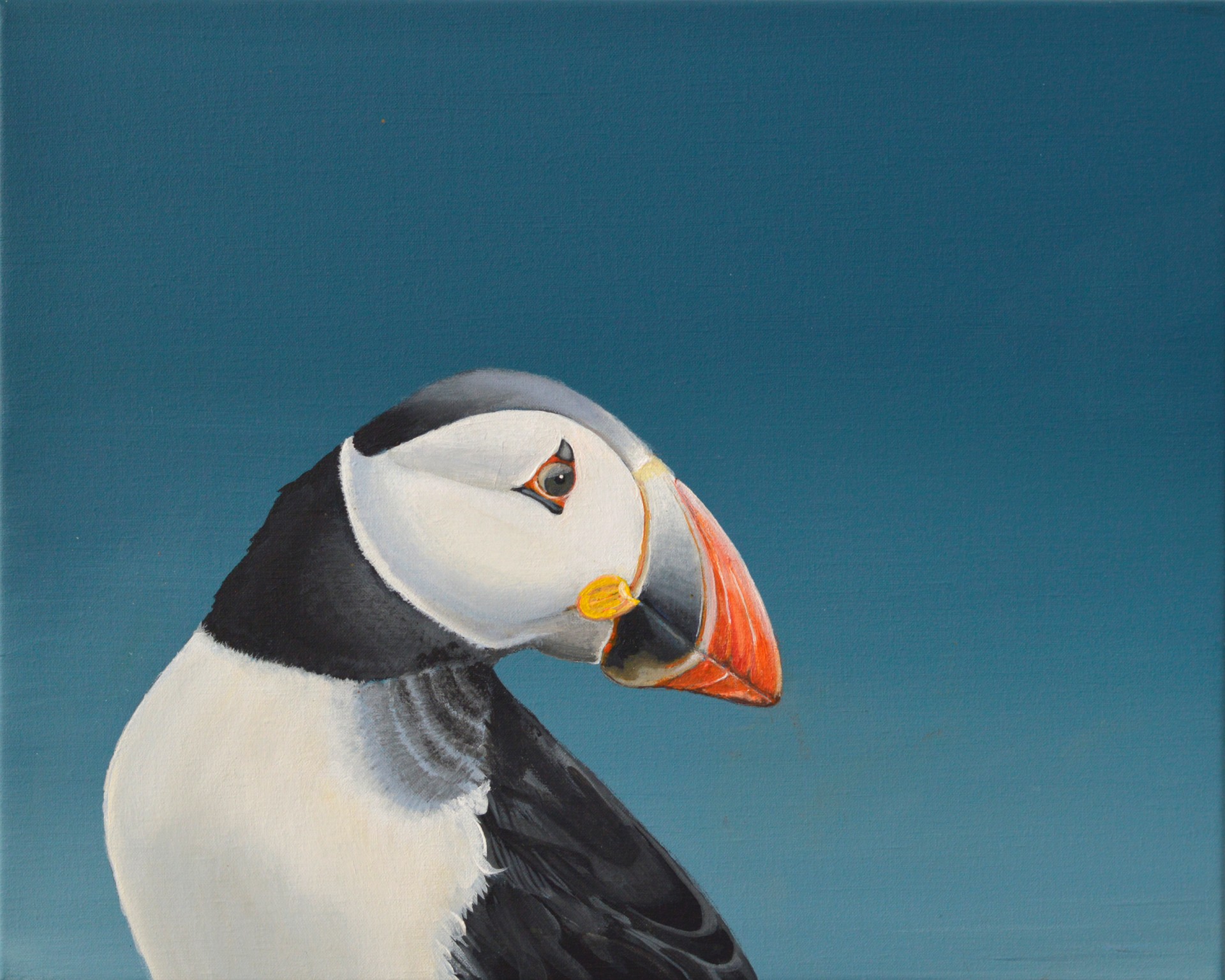 Frank Anderson | Puffin (sold 2021)