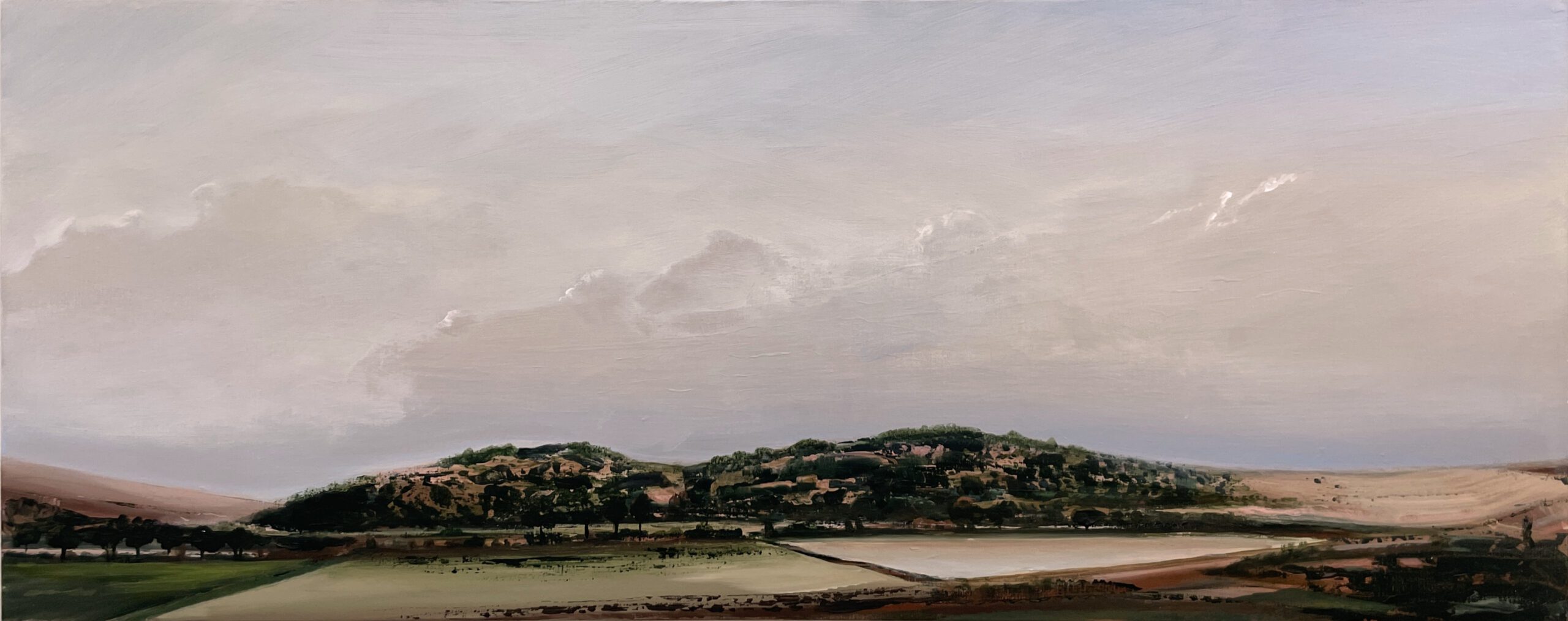 Frank Anderson-schilderij-